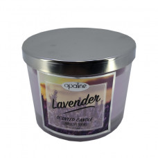Candle 9 Oz Assorted